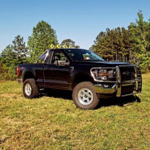 Defend your drive with style! The Black Horse CLASSIC Roll Bar and Grille Guard bring bold protection to your Ford F150.