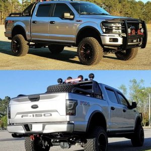 Gladiator Roll Bar For Ford F-150