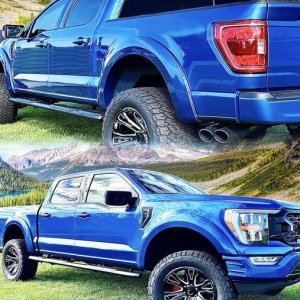 Ford F-150 -  Extreme Wheel To Wheel Side Steps