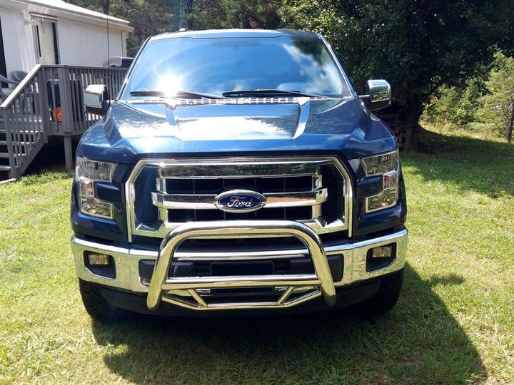 Max Bull Bar; Stainless Steel Ford F-150
